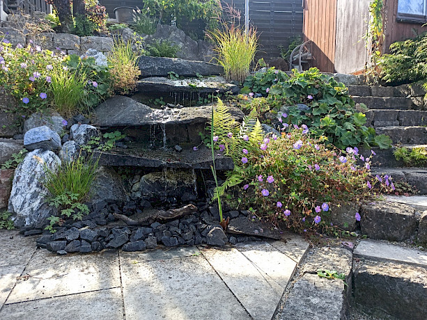 Vorgarten mit Schiefersteinen und wilden Blumen